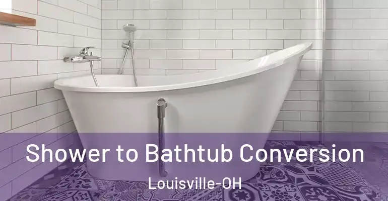 inner Bathroom imggen Shower to Bathtub Conversion Louisville-OH