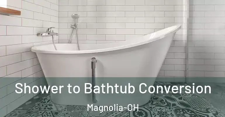 inner Bathroom imggen Shower to Bathtub Conversion Magnolia-OH