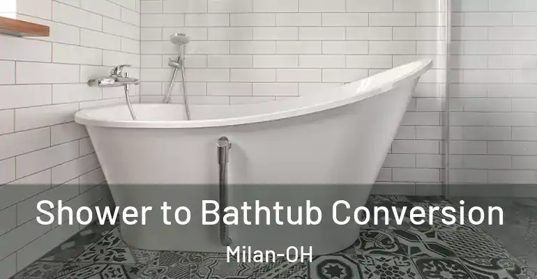 inner Bathroom imggen Shower to Bathtub Conversion Milan-OH
