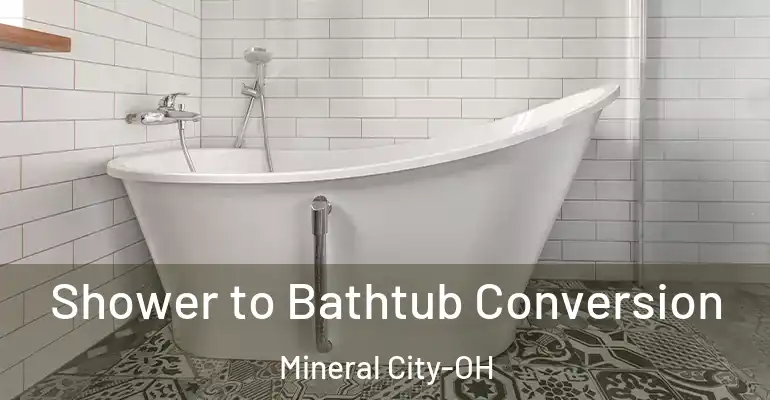 inner Bathroom imggen Shower to Bathtub Conversion Mineral City-OH