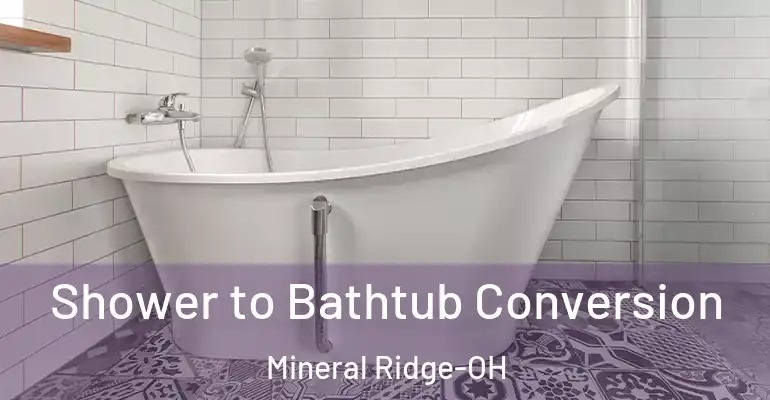 inner Bathroom imggen Shower to Bathtub Conversion Mineral Ridge-OH