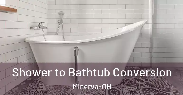 inner Bathroom imggen Shower to Bathtub Conversion Minerva-OH