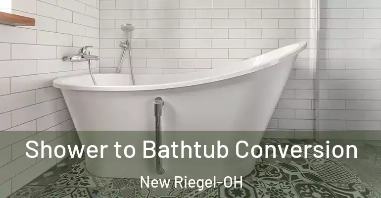 inner Bathroom imggen Shower to Bathtub Conversion New Riegel-OH