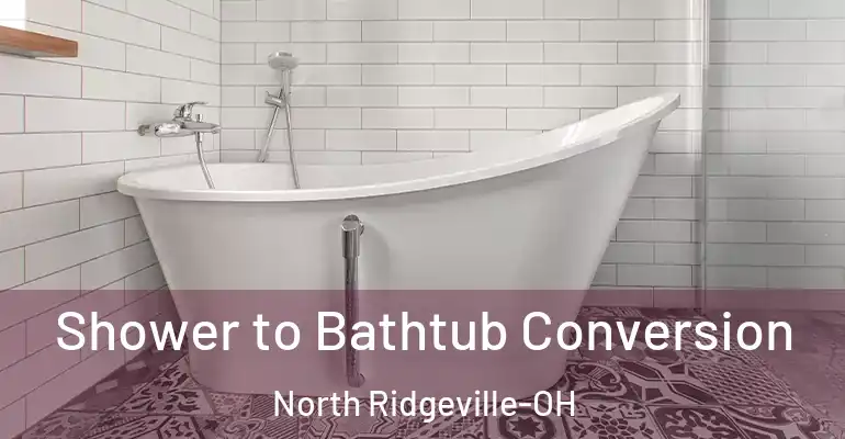 inner Bathroom imggen Shower to Bathtub Conversion North Ridgeville-OH