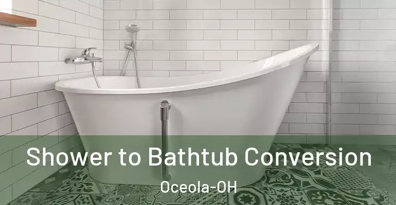 inner Bathroom imggen Shower to Bathtub Conversion Oceola-OH