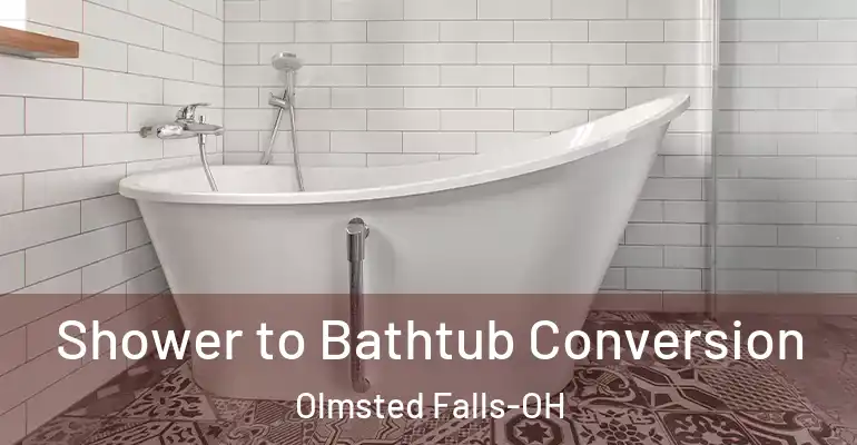 inner Bathroom imggen Shower to Bathtub Conversion Olmsted Falls-OH