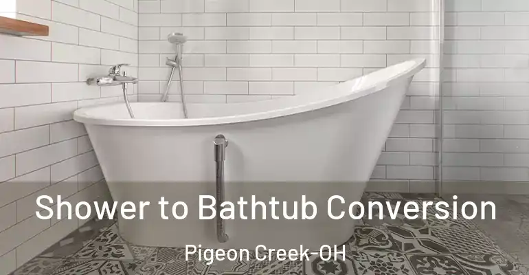 inner Bathroom imggen Shower to Bathtub Conversion Pigeon Creek-OH