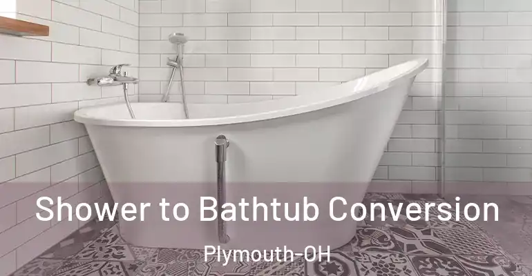 inner Bathroom imggen Shower to Bathtub Conversion Plymouth-OH