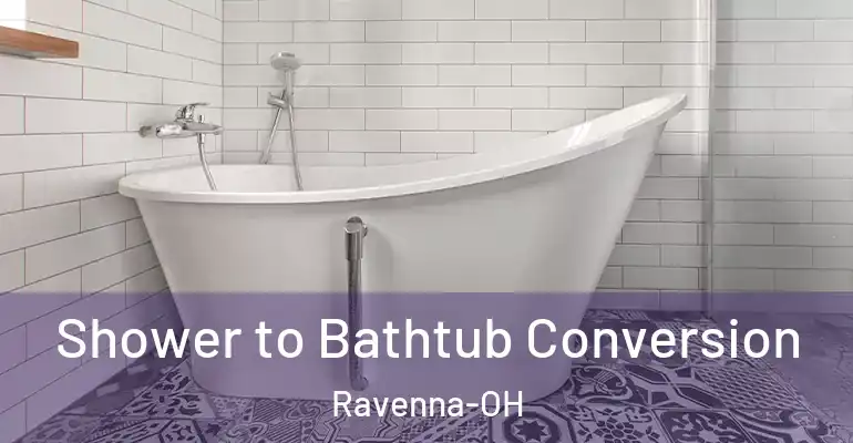 inner Bathroom imggen Shower to Bathtub Conversion Ravenna-OH