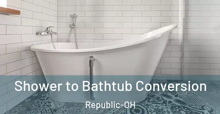 inner Bathroom imggen Shower to Bathtub Conversion Republic-OH