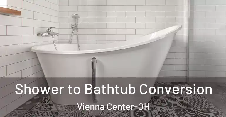 inner Bathroom imggen Shower to Bathtub Conversion Vienna Center-OH