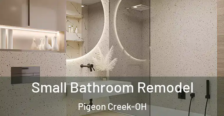 inner Bathroom imggen Small Bathroom Remodel Pigeon Creek-OH