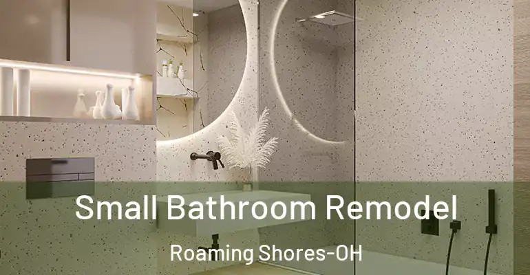 inner Bathroom imggen Small Bathroom Remodel Roaming Shores-OH