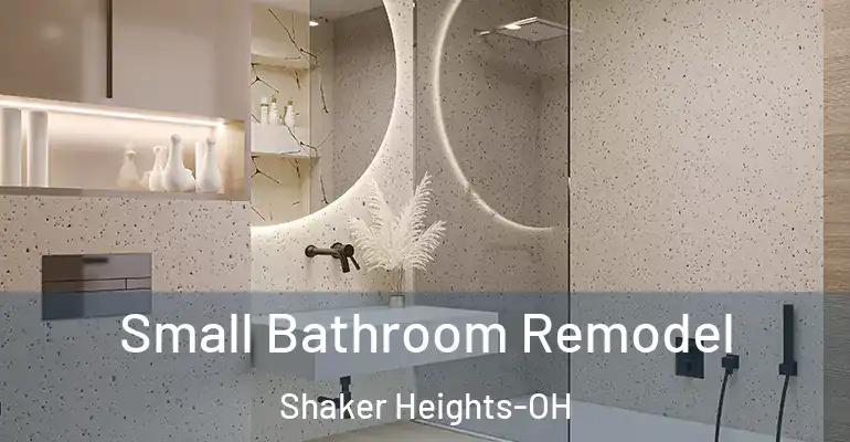 inner Bathroom imggen Small Bathroom Remodel Shaker Heights-OH