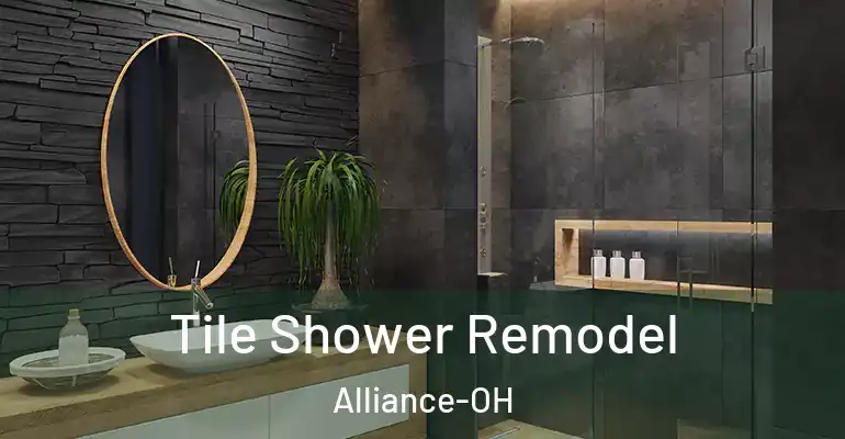 inner Bathroom imggen Tile Shower Remodel Alliance-OH