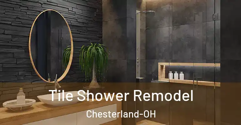 inner Bathroom imggen Tile Shower Remodel Chesterland-OH