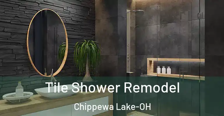 inner Bathroom imggen Tile Shower Remodel Chippewa Lake-OH