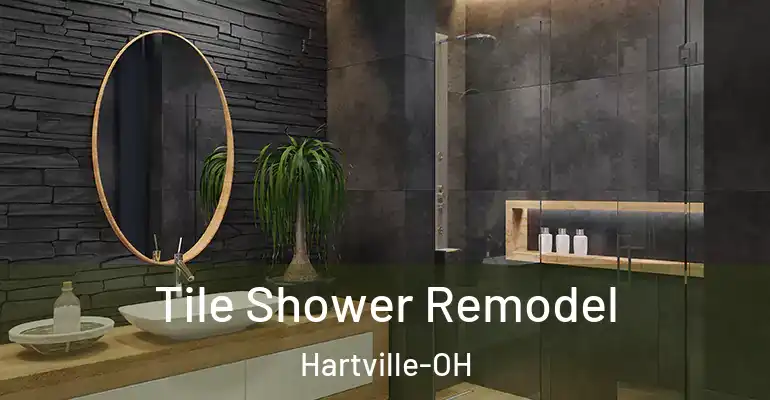 inner Bathroom imggen Tile Shower Remodel Hartville-OH