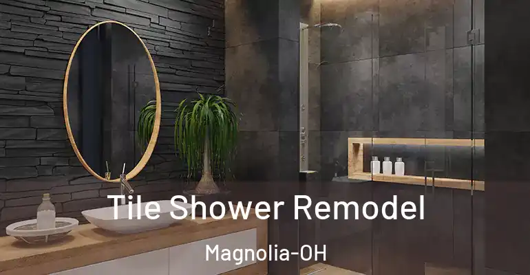 inner Bathroom imggen Tile Shower Remodel Magnolia-OH