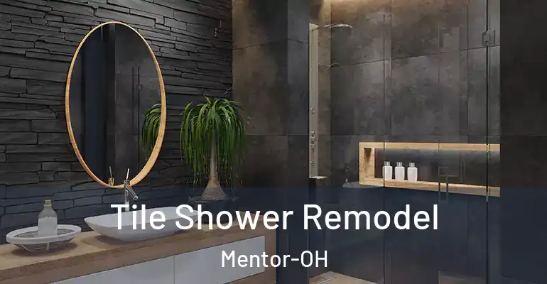inner Bathroom imggen Tile Shower Remodel Mentor-OH