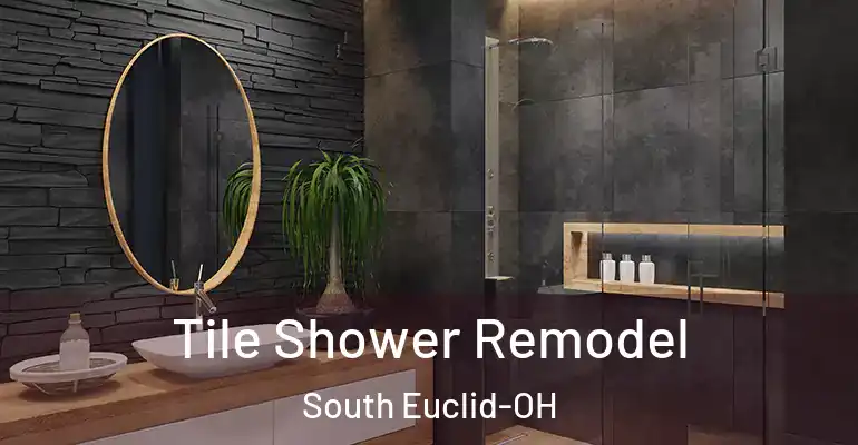 inner Bathroom imggen Tile Shower Remodel South Euclid-OH