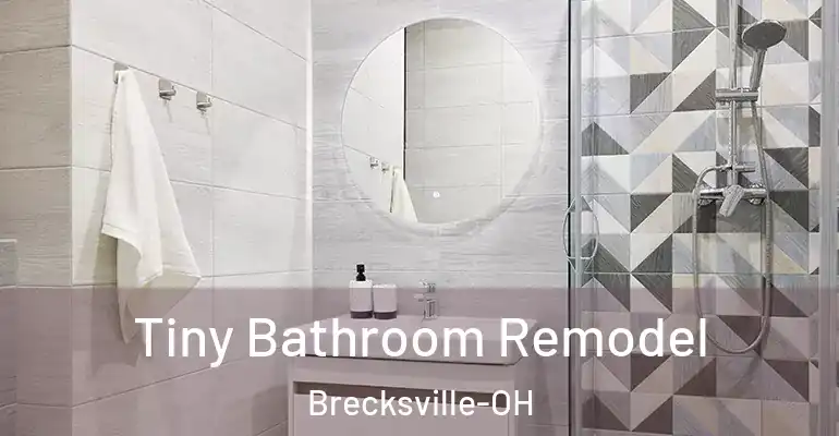 inner Bathroom imggen Tiny Bathroom Remodel Brecksville-OH