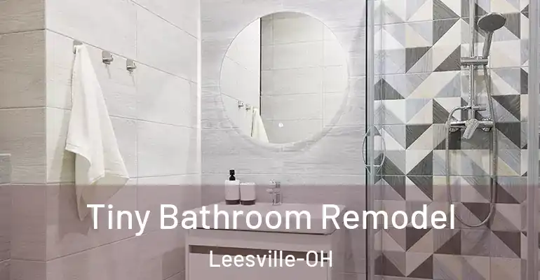 inner Bathroom imggen Tiny Bathroom Remodel Leesville-OH