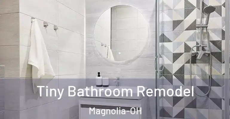 inner Bathroom imggen Tiny Bathroom Remodel Magnolia-OH