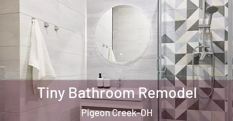 inner Bathroom imggen Tiny Bathroom Remodel Pigeon Creek-OH