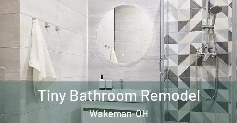 inner Bathroom imggen Tiny Bathroom Remodel Wakeman-OH
