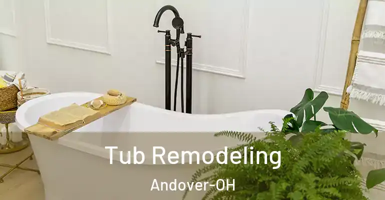 inner Bathroom imggen Tub Remodeling Andover-OH