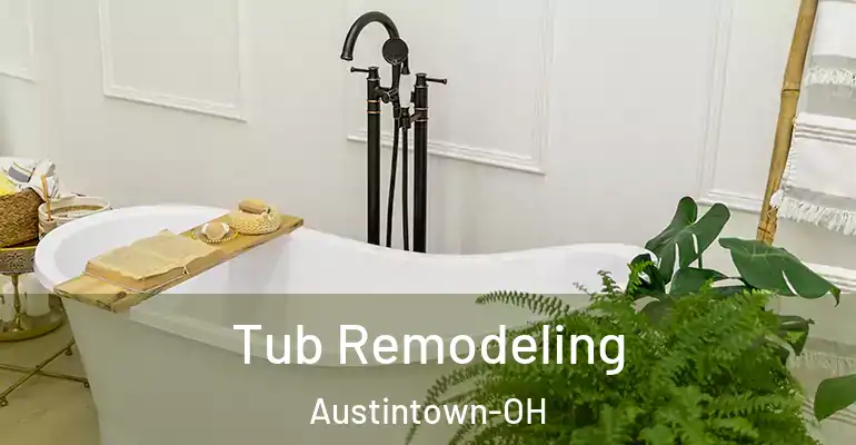 inner Bathroom imggen Tub Remodeling Austintown-OH