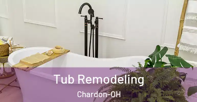 inner Bathroom imggen Tub Remodeling Chardon-OH