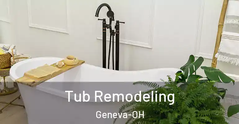 inner Bathroom imggen Tub Remodeling Geneva-OH