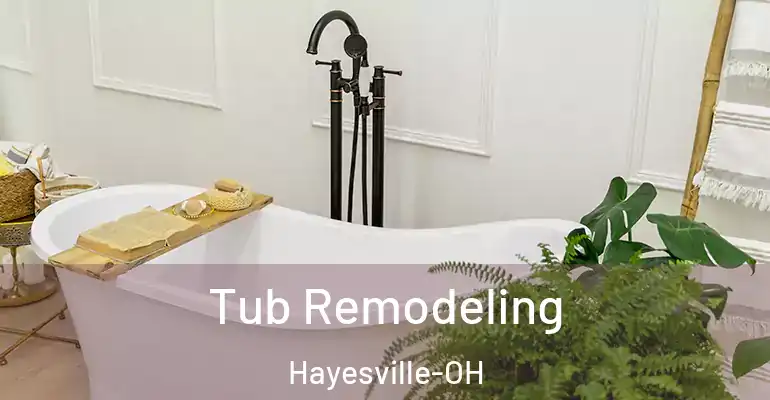 inner Bathroom imggen Tub Remodeling Hayesville-OH