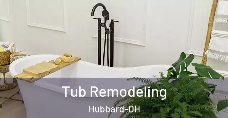 inner Bathroom imggen Tub Remodeling Hubbard-OH
