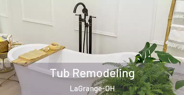 inner Bathroom imggen Tub Remodeling LaGrange-OH