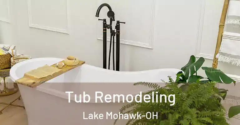 inner Bathroom imggen Tub Remodeling Lake Mohawk-OH