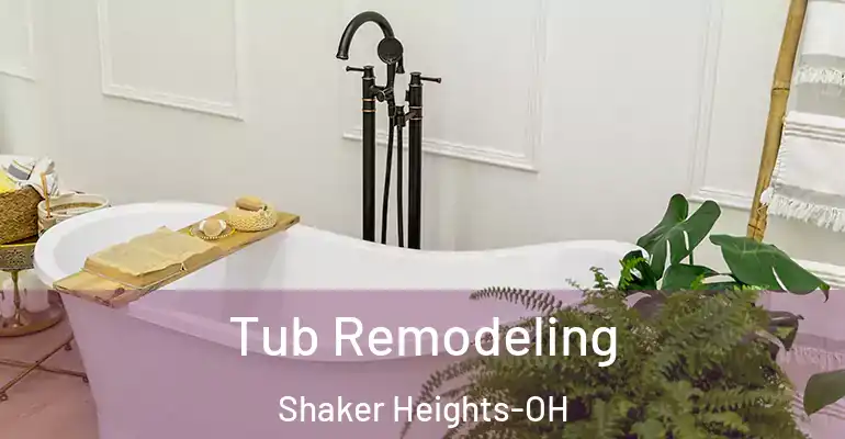 inner Bathroom imggen Tub Remodeling Shaker Heights-OH