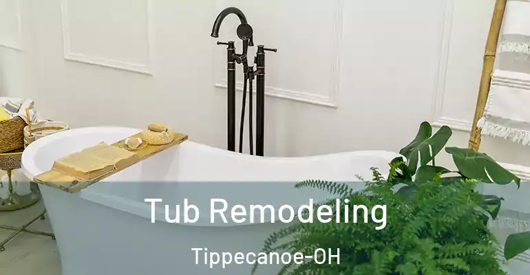 inner Bathroom imggen Tub Remodeling Tippecanoe-OH