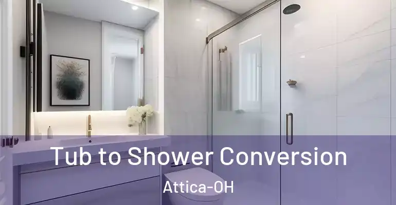 inner Bathroom imggen Tub to Shower Conversion Attica-OH