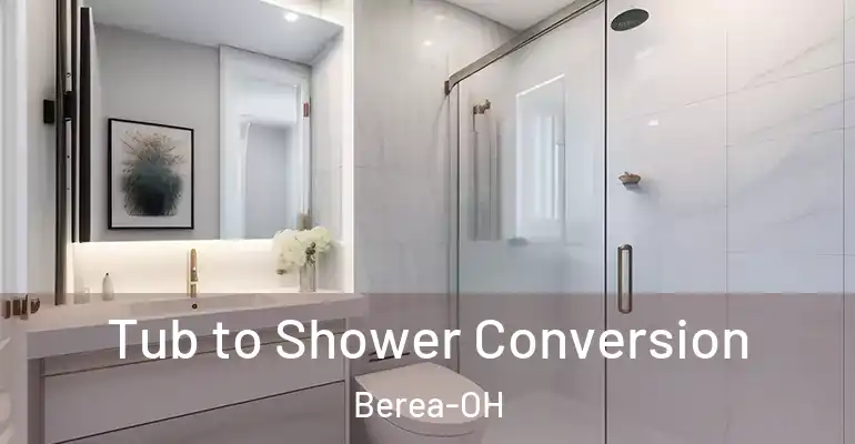 inner Bathroom imggen Tub to Shower Conversion Berea-OH