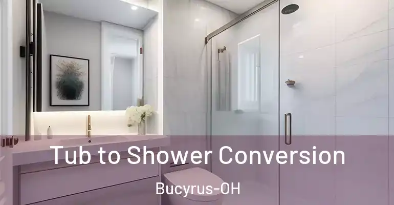 inner Bathroom imggen Tub to Shower Conversion Bucyrus-OH