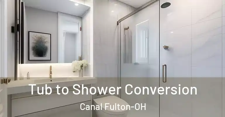 inner Bathroom imggen Tub to Shower Conversion Canal Fulton-OH
