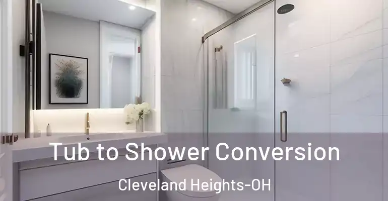 inner Bathroom imggen Tub to Shower Conversion Cleveland Heights-OH