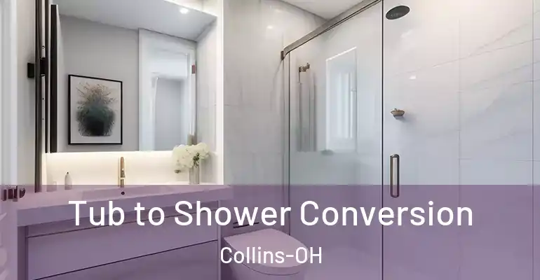 inner Bathroom imggen Tub to Shower Conversion Collins-OH
