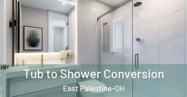 inner Bathroom imggen Tub to Shower Conversion East Palestine-OH