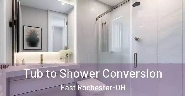 inner Bathroom imggen Tub to Shower Conversion East Rochester-OH