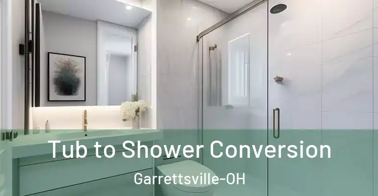 inner Bathroom imggen Tub to Shower Conversion Garrettsville-OH