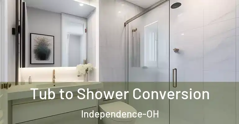 inner Bathroom imggen Tub to Shower Conversion Independence-OH
